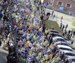 1502973216_e73e2f6f93f6b6d7ead512001263de08